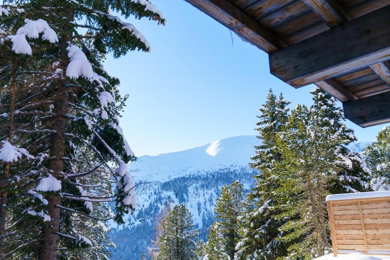 Luxalps- Turrach Alm Chalets Nr 1-4 Gruensee- Sauna- Skifahren- Wandern- Natur Туррахер-Гее Екстер'єр фото