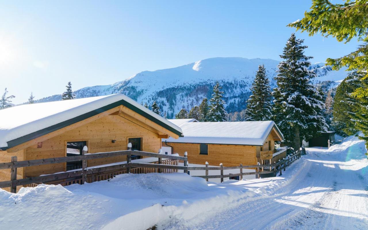 Luxalps- Turrach Alm Chalets Nr 1-4 Gruensee- Sauna- Skifahren- Wandern- Natur Туррахер-Гее Екстер'єр фото